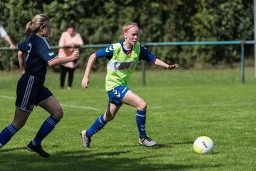 Bild 207 - B-Juniorinnen VfL Pinneberg - HSV : Ergebnis: 1:4